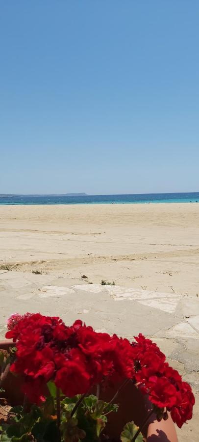 Panthoma Casa Appartement Agia Napa Buitenkant foto